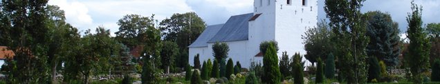 Grønne træer og buske rundt om hvid kirke 