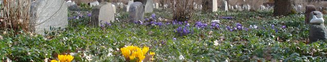 Blomster og beplantning omgiver gravsten