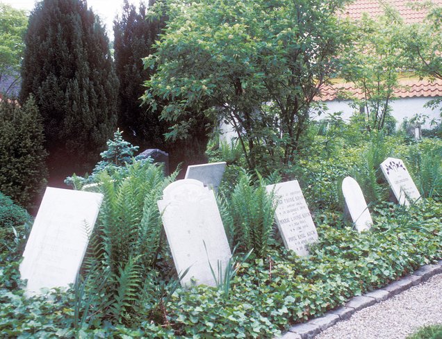 Samlinf af gravstene i beplantning med link til at hente skema for elementet lapidarium