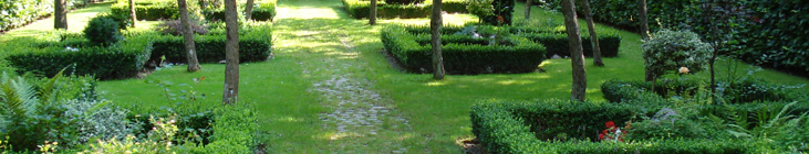 Græsplæne på kirkegård med små hække, der indkredser gravpladser.